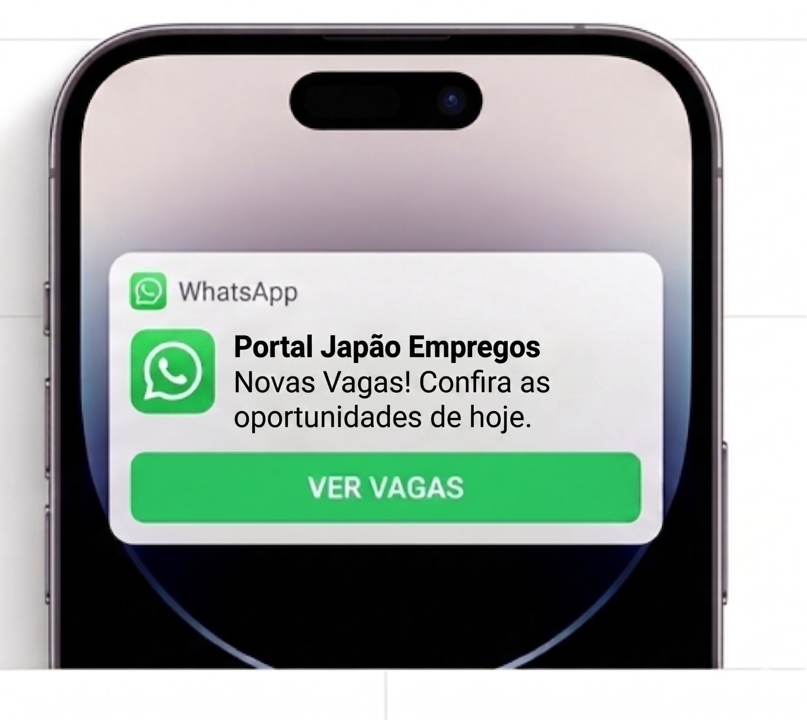 WhatsApp Delivery Preview